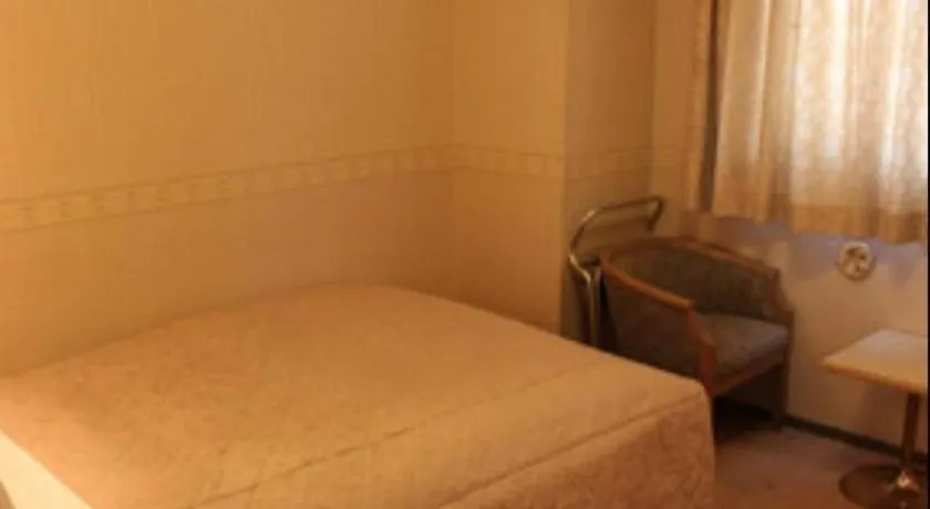 Isehara Green Palace Hotel 2*,  Japonia